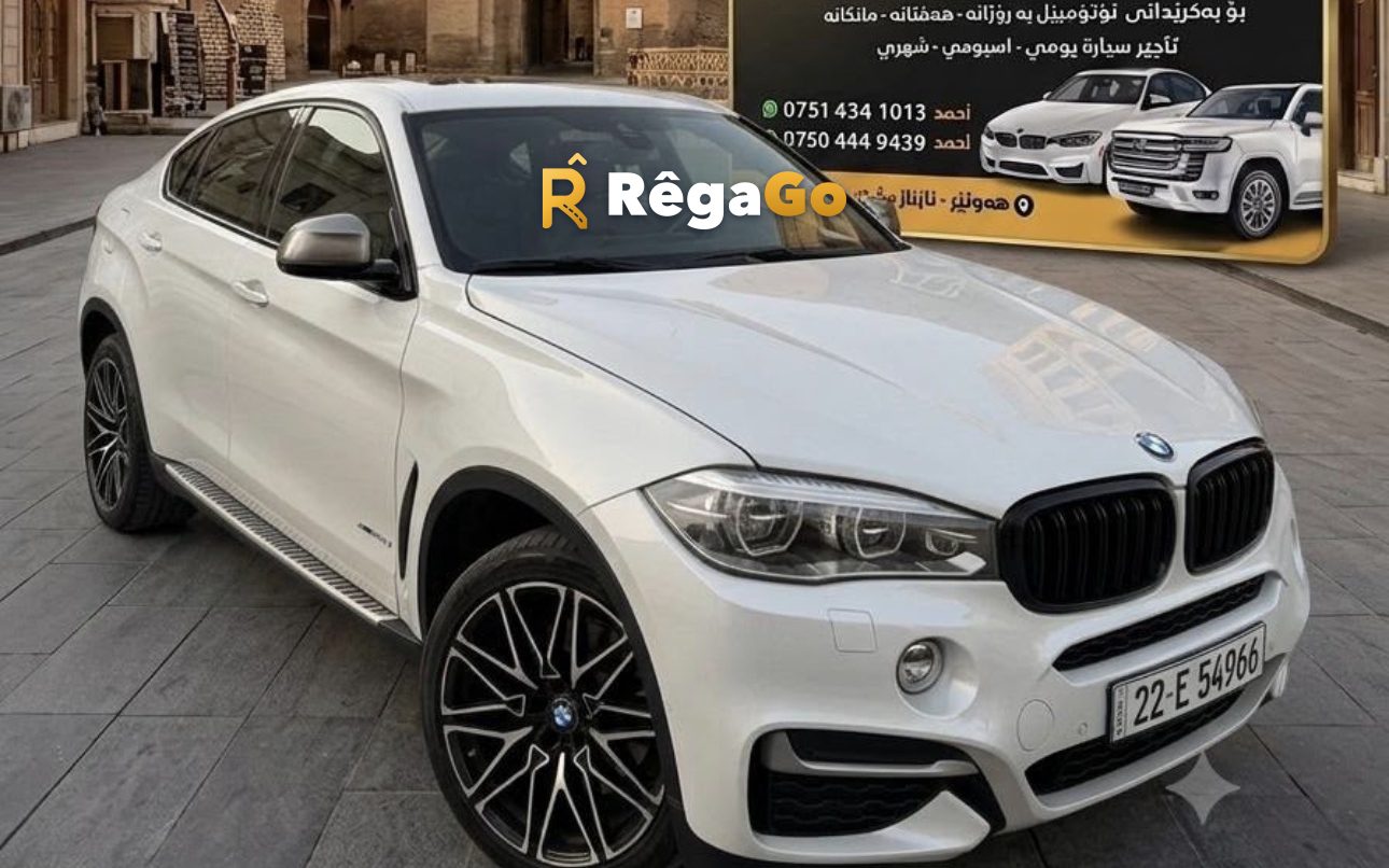 BMW X6